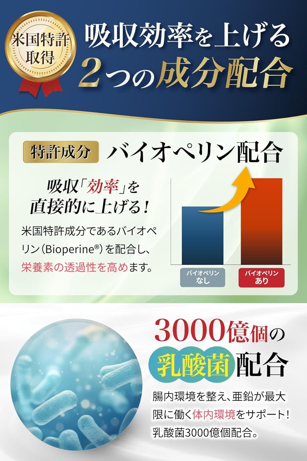 リポソーム 亜鉛 サプリ 15mg配合 乳酸菌 3000億個 30日分30粒 PREMILAB